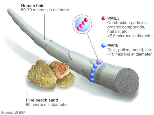 What is Particulate Matter Air Pollution and How Does it Affect Human Health?